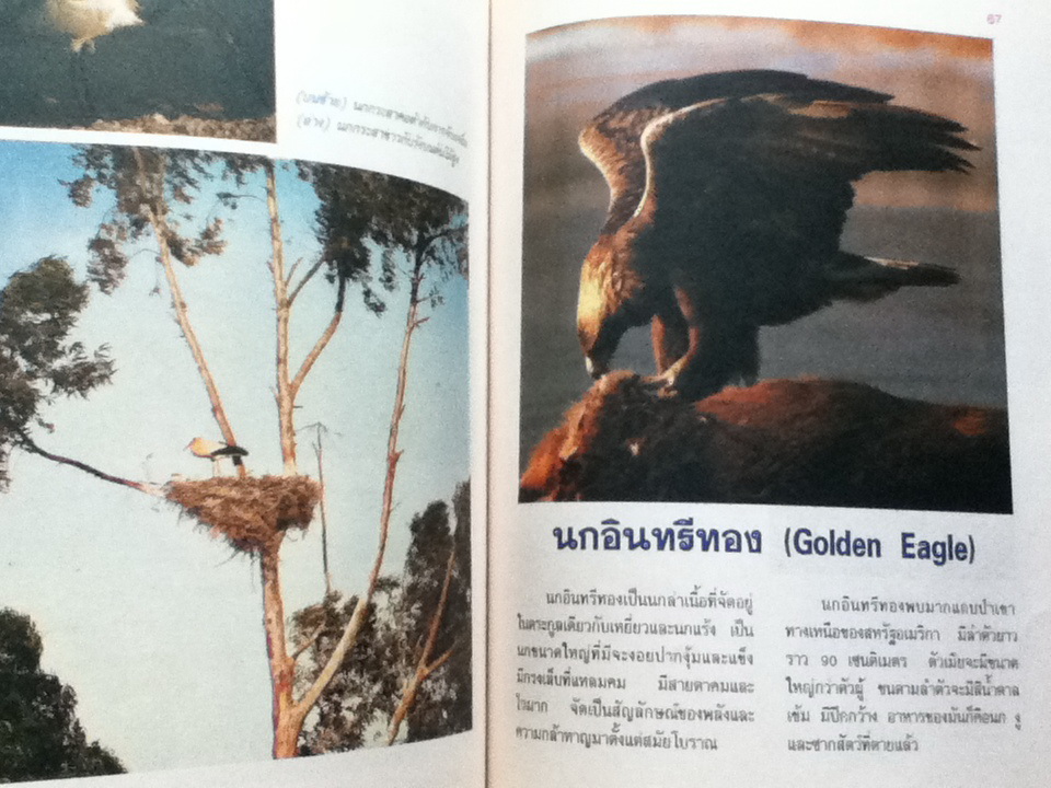 หนังสือภาพความรู้เรื่องนก