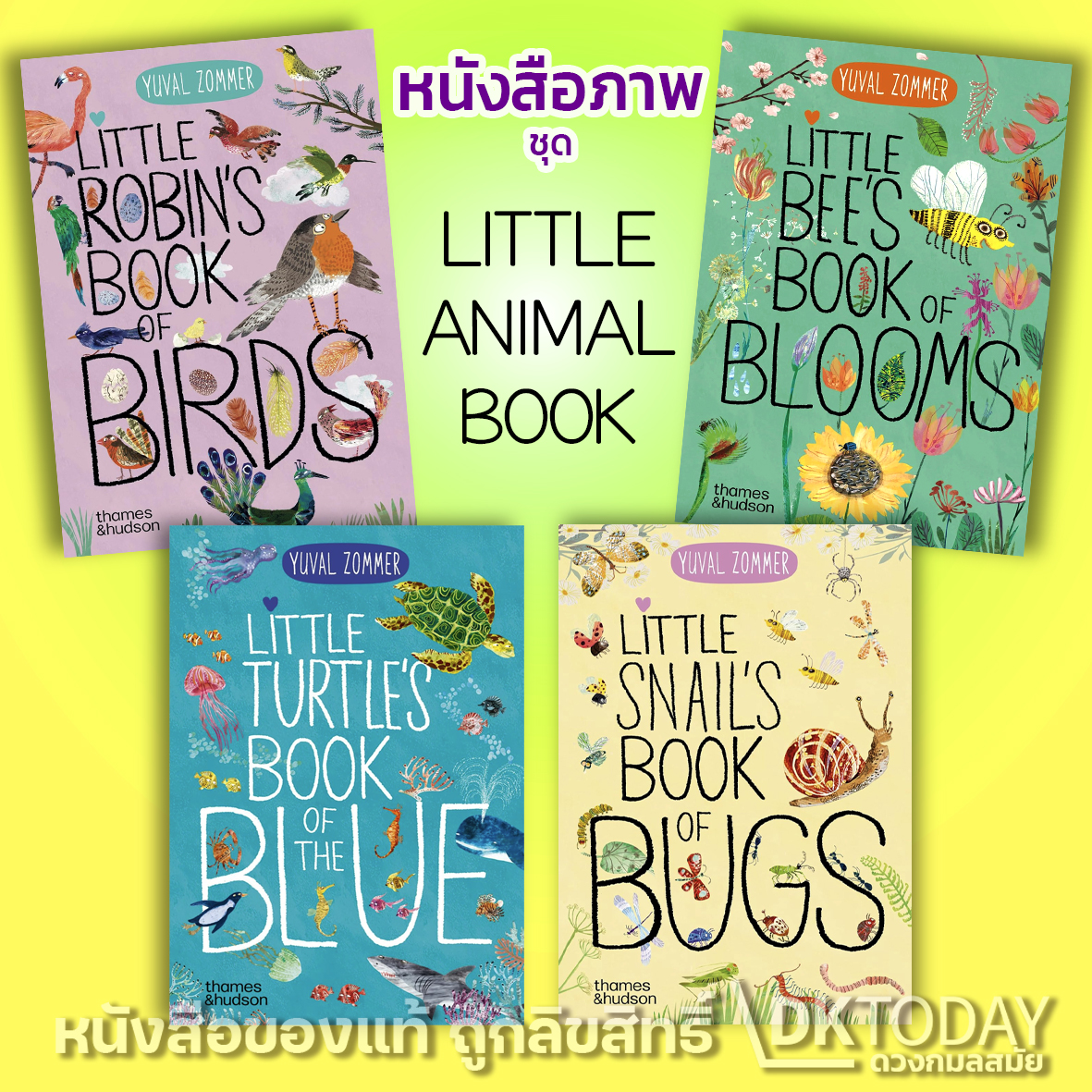 THE BIG BOOK SERIES (LITTLE BOOK)