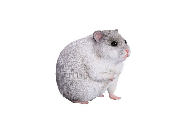 1/1 Hamster C(Provisional Pre-order)