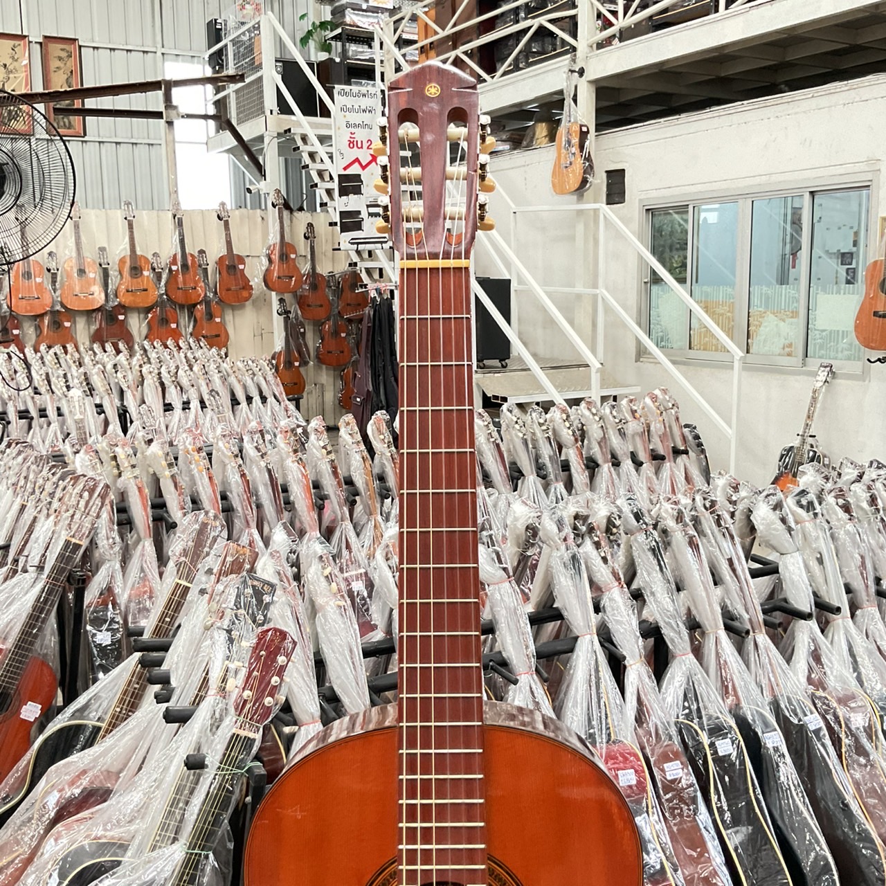 กีต้าร์คลาสสิค YAMAHA : G-70D