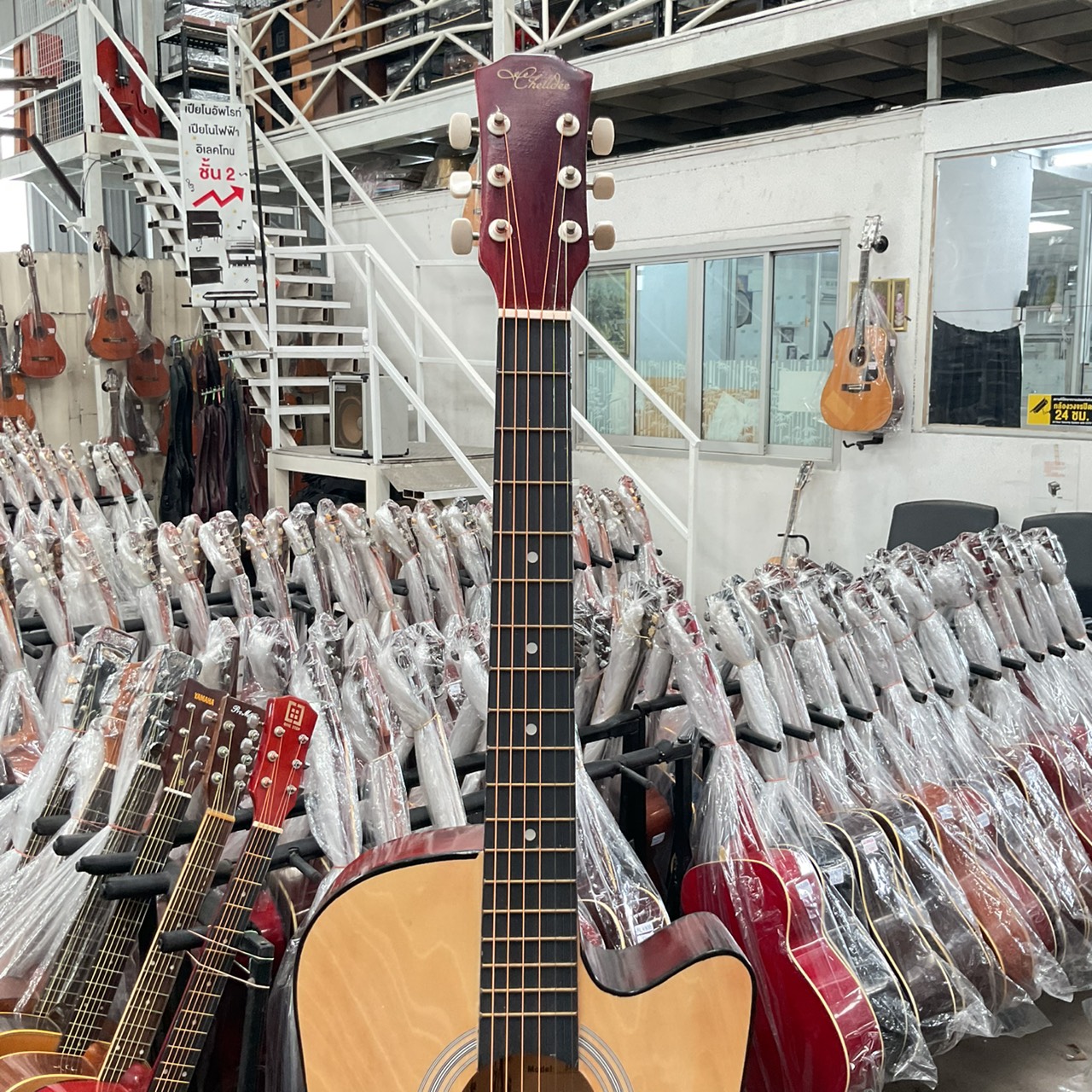 กีต้าร์โปร่ง Chelldee : 38C