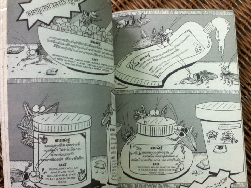 กัปตันแฟ็กต์ ตอน ตะลุยถิ่นแมลง สองภาษา ไทย-อังกฤษ
