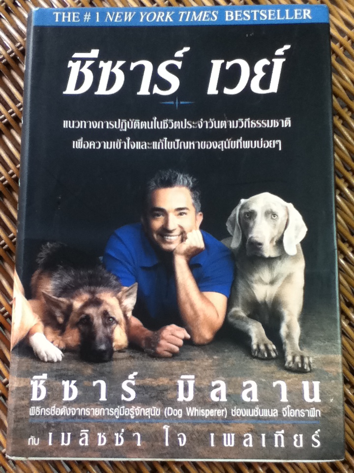 ซีซาร์ เวย์