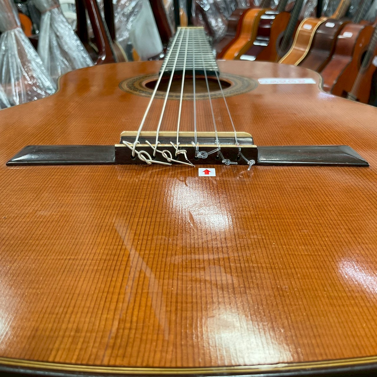 กีต้าร์คลาสสิค Shinano : LG130