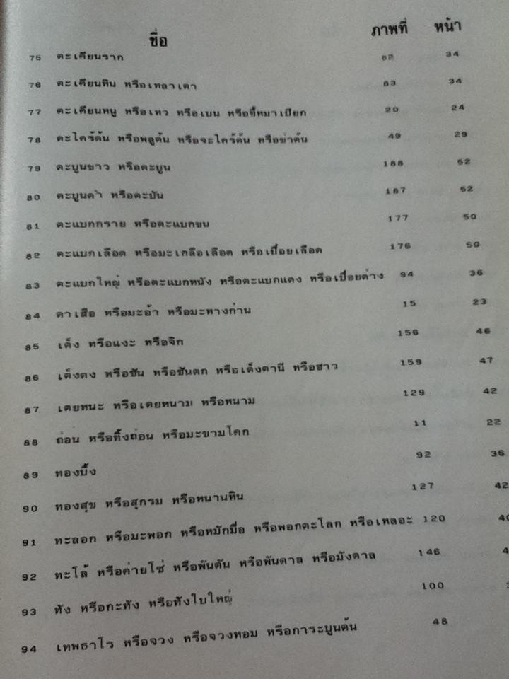 ลักษณะโครงสร้างของไม้และการตรวจพิสูจน์/ ณรงค์ โทณานนท์
