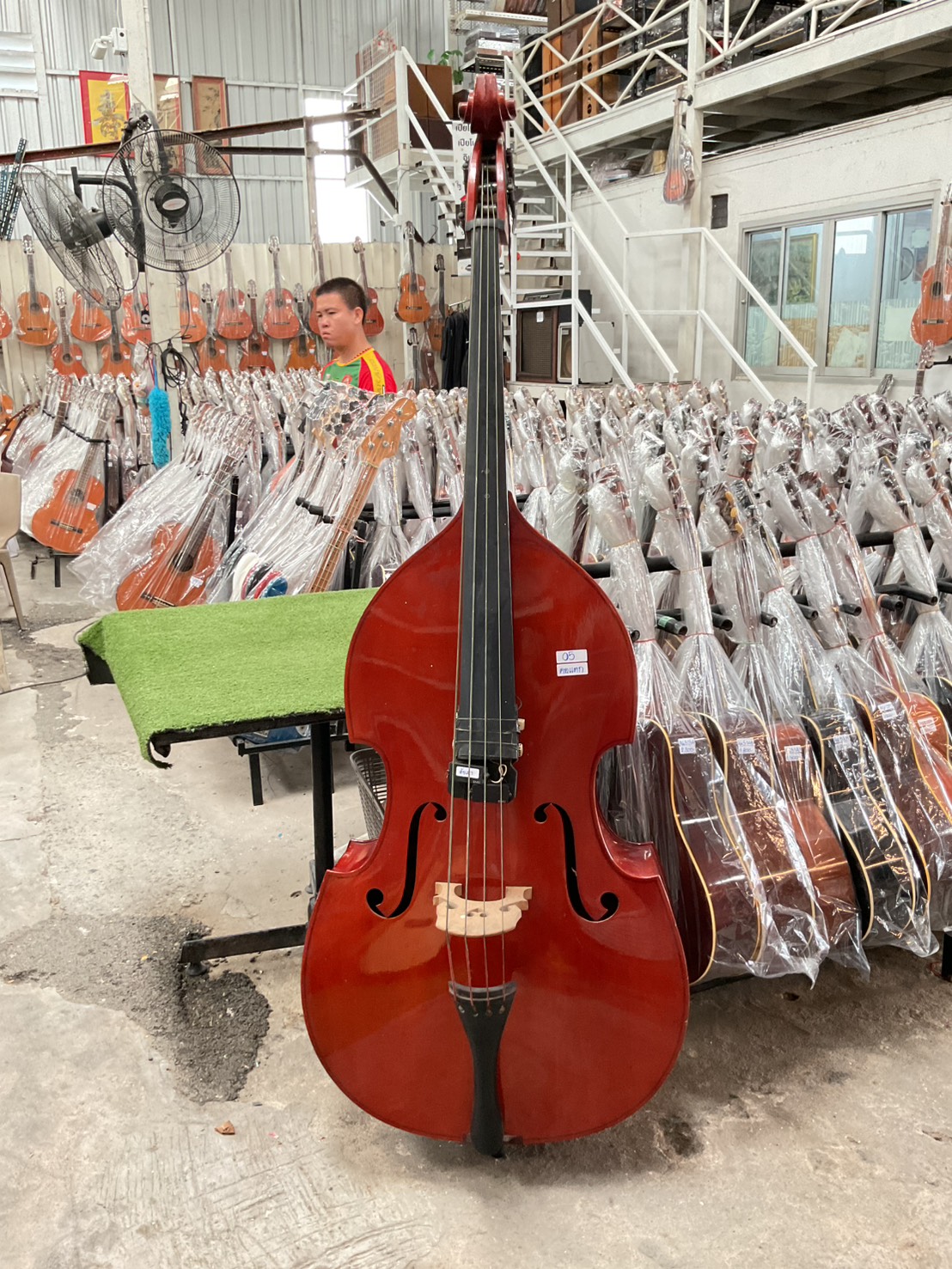 ไวโอลิน Double Bass
