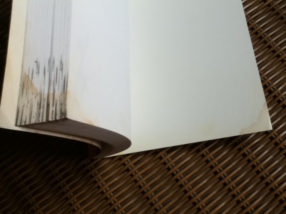 CEOโลกตะวันออก ผลึกความคิดจากชีวิตการทำงาน30ปี/ ก่อศักดิ์ ไชยรัศมีศักดิ์