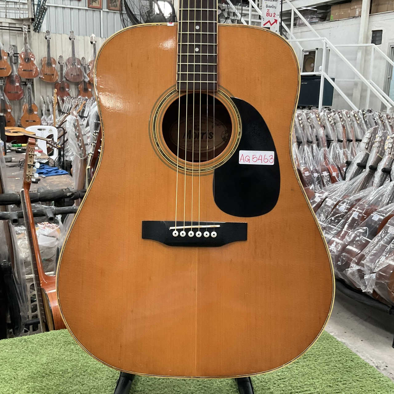 กีต้าร์โปร่ง Morris : W-25