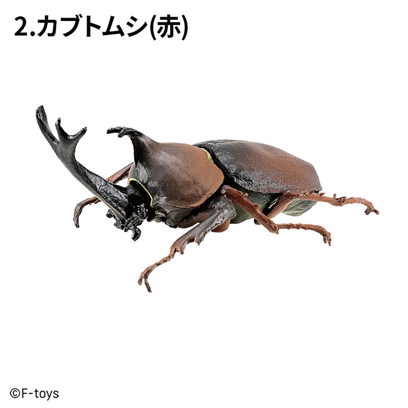 Insect Hunter Beetle x Stag Beetle 10Pack BOX (CANDY TOY)(Pre-order)