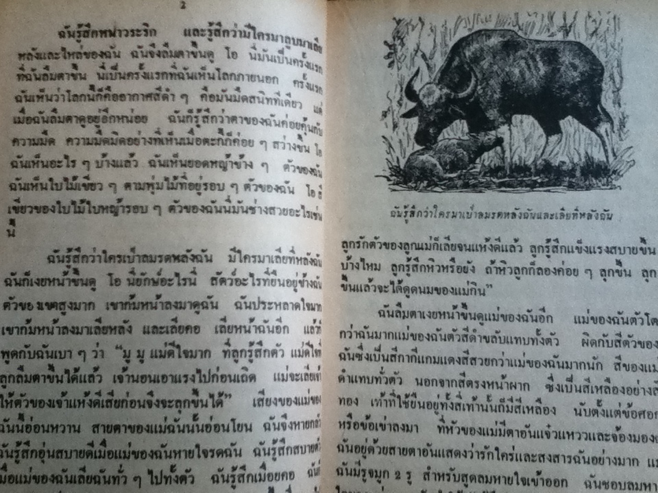 ชีวิตของฉัน ลูกกระทิง/ นายแพทย์บุญส่ง เลขะกุล