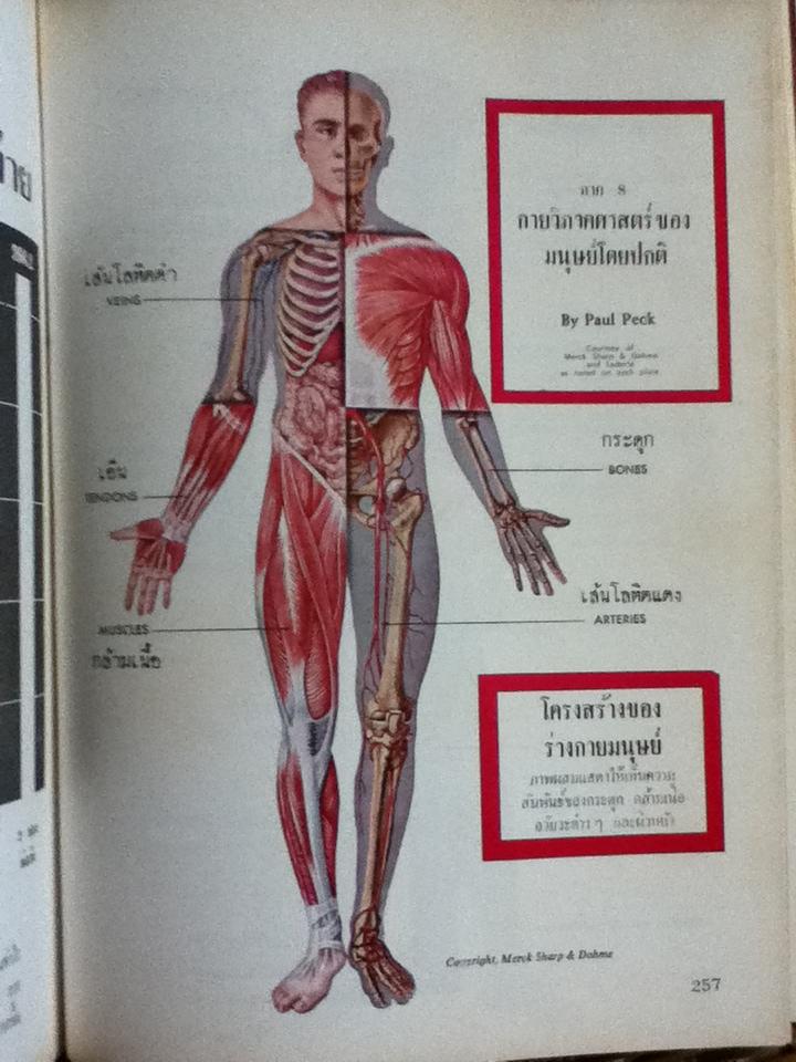 สุขภาพและพลานามัย/ คลิฟฟอร์ด อาร์. แอนเดอร์สัน M. D.