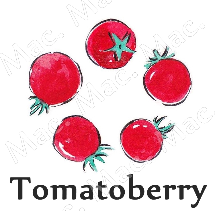 TOMATOBERRY หัวน้ำหอม มะเขือเทศสตอเบอรี่