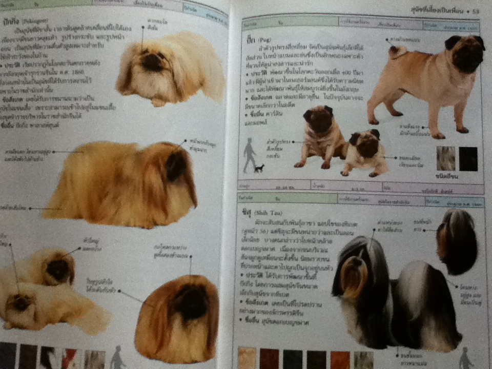 สุนัข คู่มือแนะนำสุนัขพันธุ์ต่างๆ มากกว่า 300 พันธ์ุจากทั่วโลก/ เดวิด อัลเดอตัน