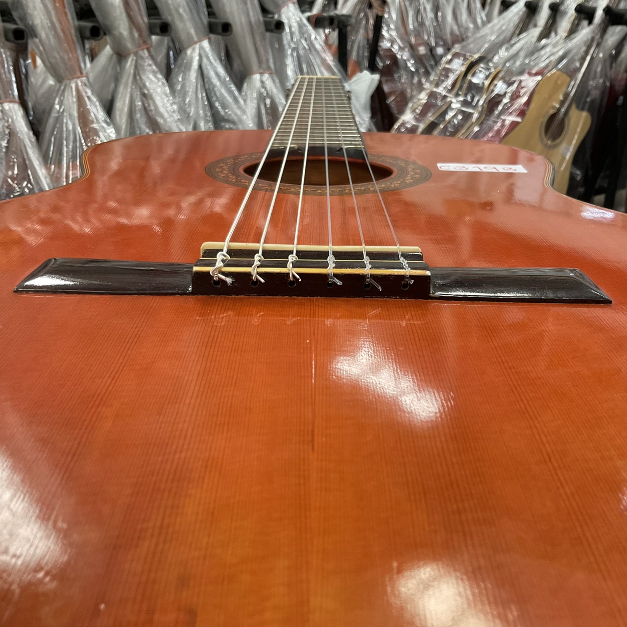 กีต้าร์คลาสสิค Aria : AC10