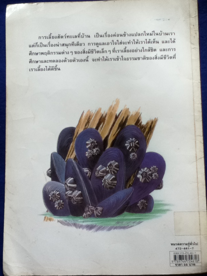 สัตว์ทะเลในบ้าน (หนังสือแถม)