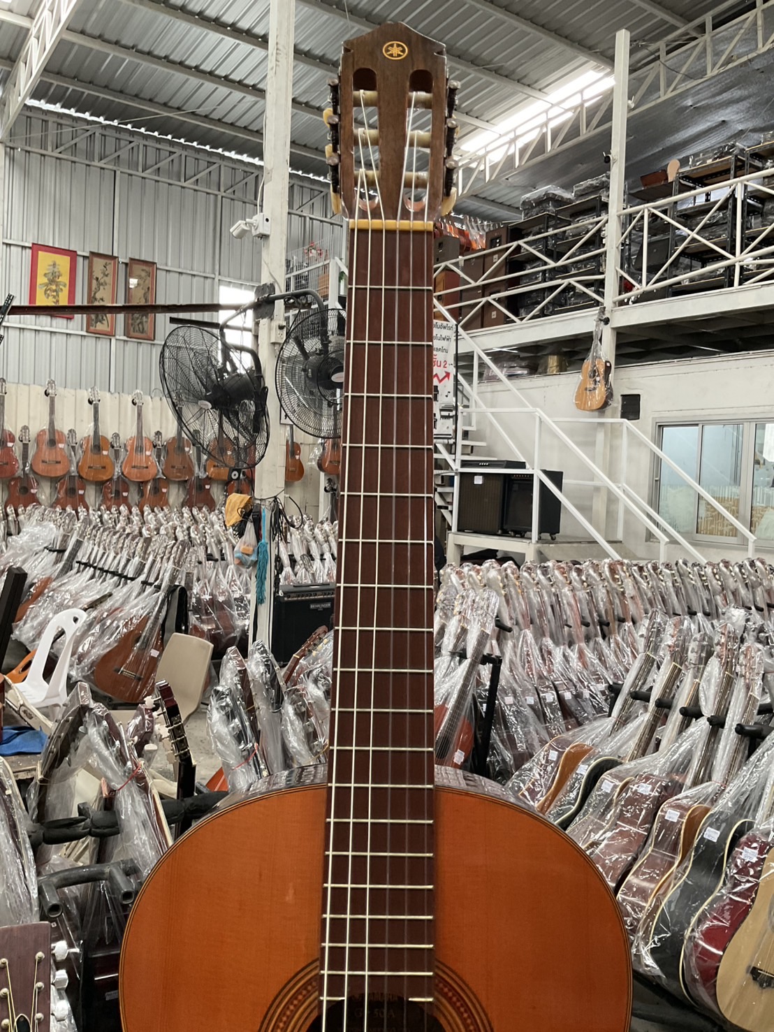 กีต้าร์คลาสสิค YAMAHA : G-50A