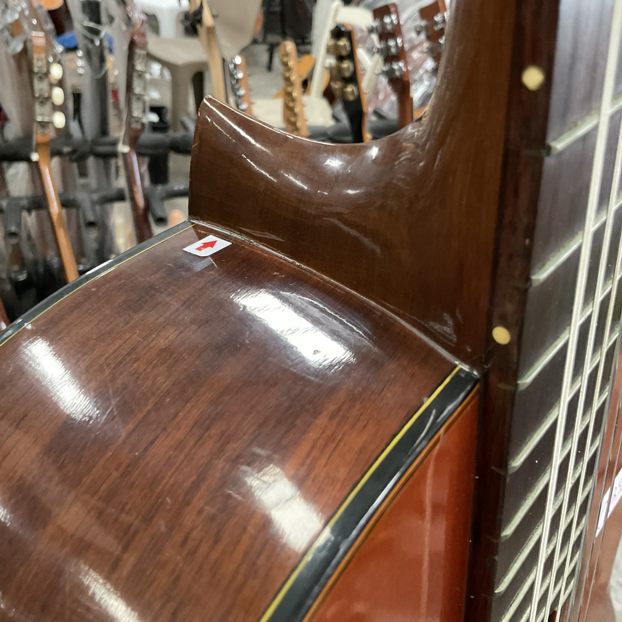 กีต้าร์คลาสสิค SUZUKI : No.36