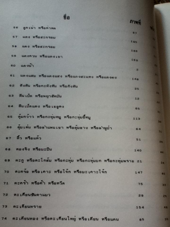 ลักษณะโครงสร้างของไม้และการตรวจพิสูจน์/ ณรงค์ โทณานนท์