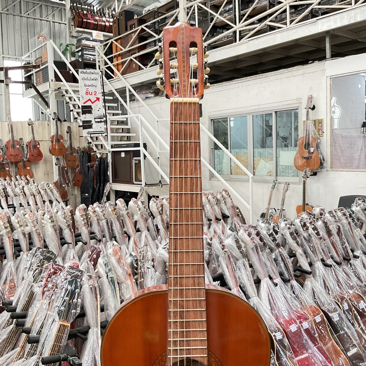 กีต้าร์คลาสสิค Abe Gut : 65A