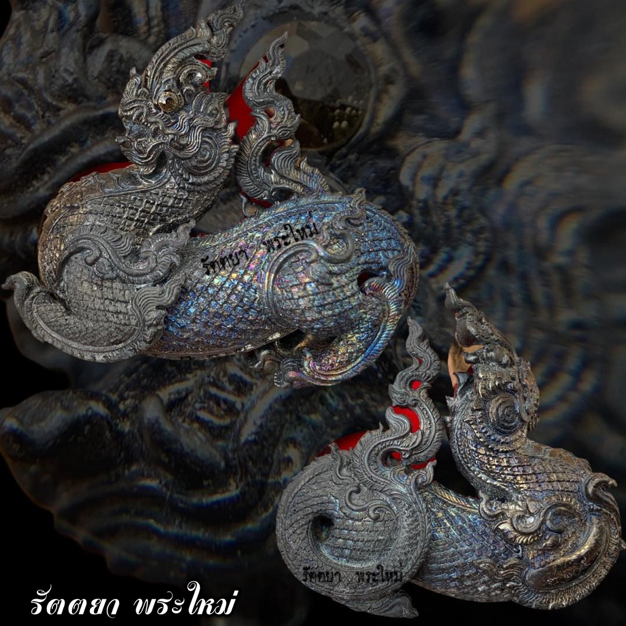 ไกรสรนาคา หลวงพ่ออธิการใจ วัดพระยาญาติ สมุทรสงคราม เนื้อดำดง