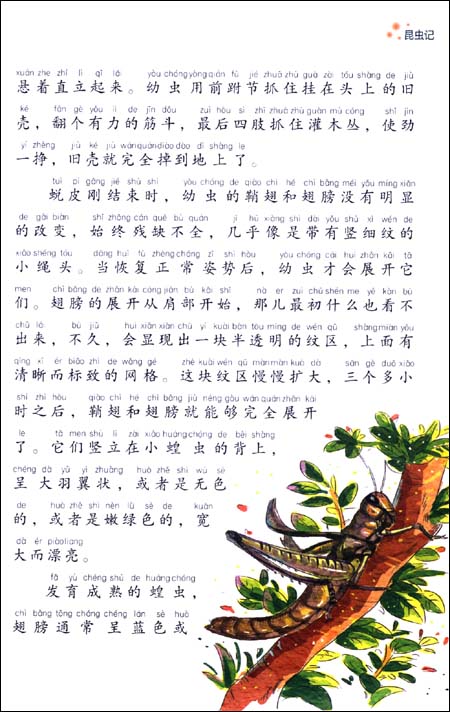 หนังสือนิทานน่าอ่านสร้างสรรค์ภาษาจีน ตอนโลกของแมลง Kunghongji 小书房•世界经典文库:昆虫记(注音美绘版) World Classic Library: Insects (Phonetic version)