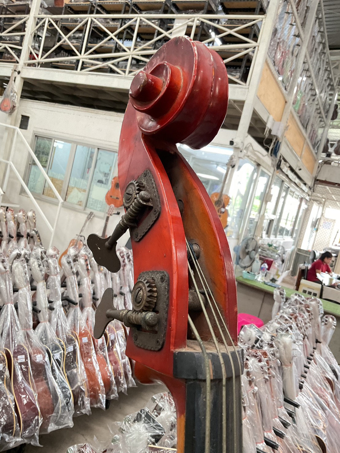 ไวโอลิน Double Bass