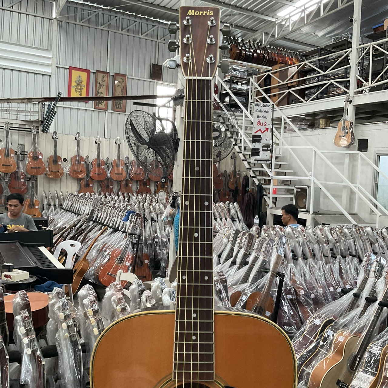กีต้าร์โปร่ง Morris : W-25