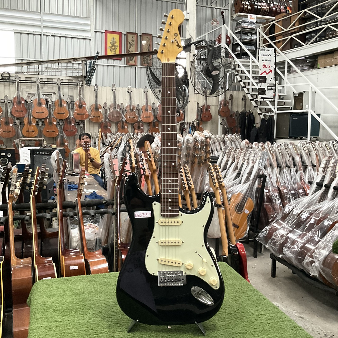 กีต้าร์ไฟฟ้า Bloom