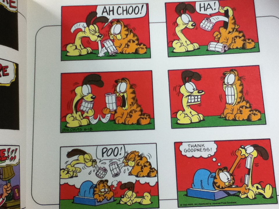 THE NINTH GARFIELD TREASURY/ JIM DAVID