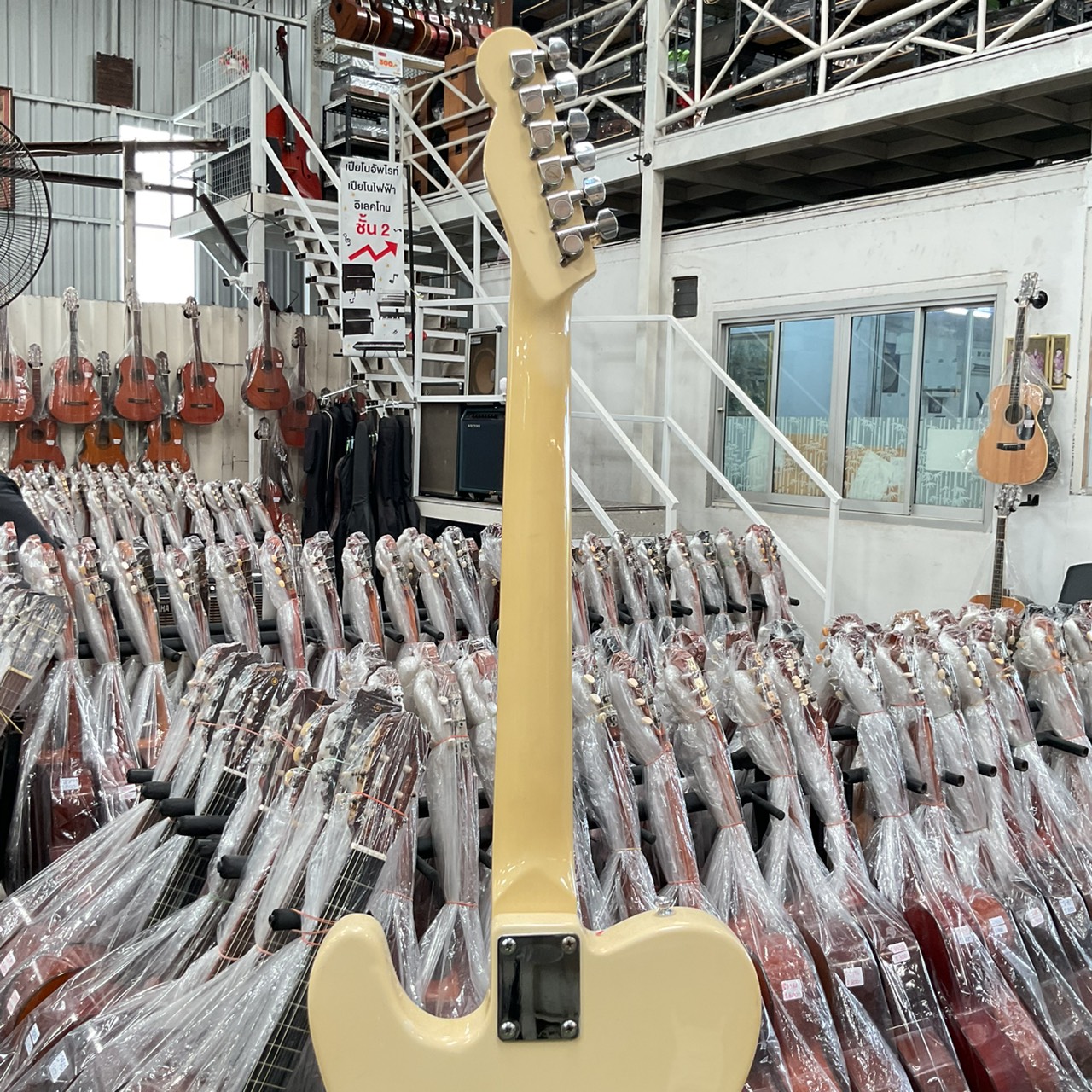 กีต้าร์ไฟฟ้า Triumph