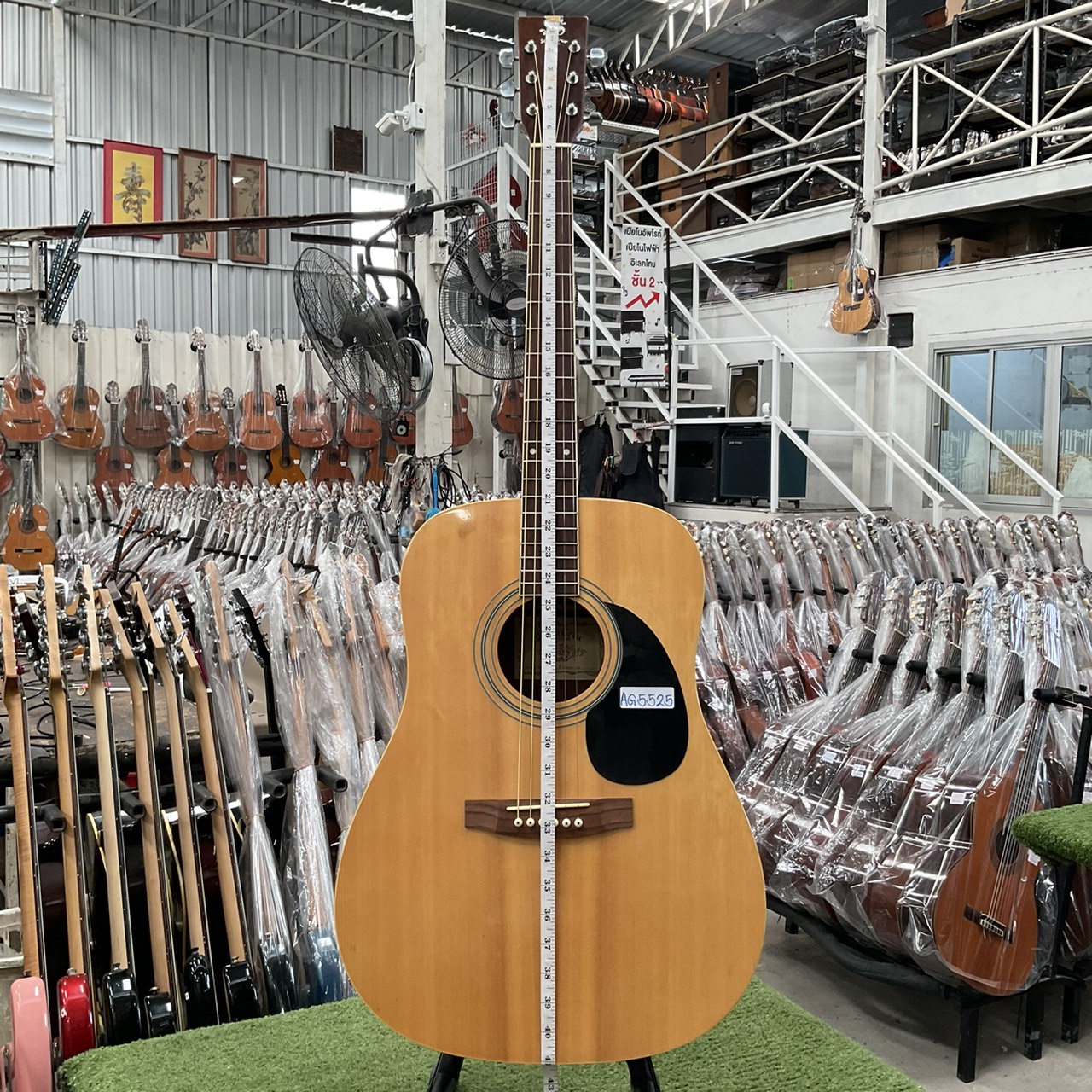 กีต้าร์โปร่ง Sepia Crue : W-250 N