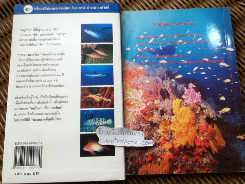 ปลาทะเลไทย เล่ม1 (พร้อมซีดีท่องทะเลชมปลา)/ ธรณ์ ธำรงนาวาสวัสดิ์ และคณะ แถม โครงการอุทยานใต้ทะเล จุฬาภรณ์36
