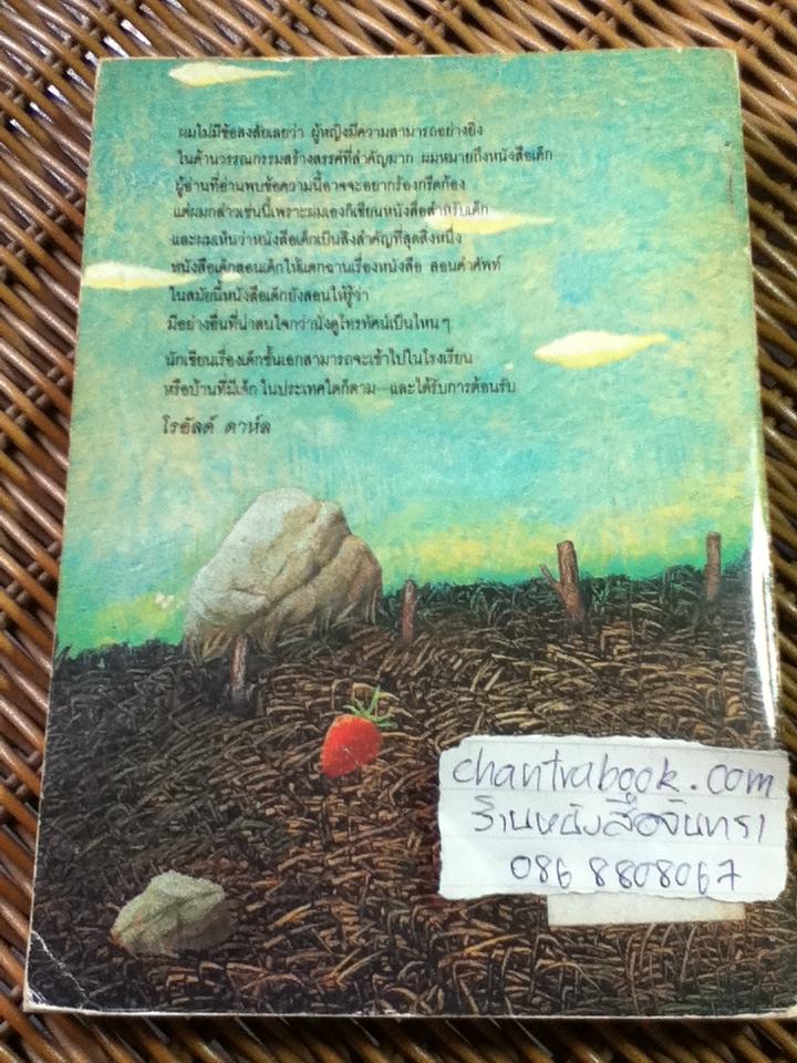 จิ๋วลูกทุ่ง/ แมรี่ นอร์ตั้น