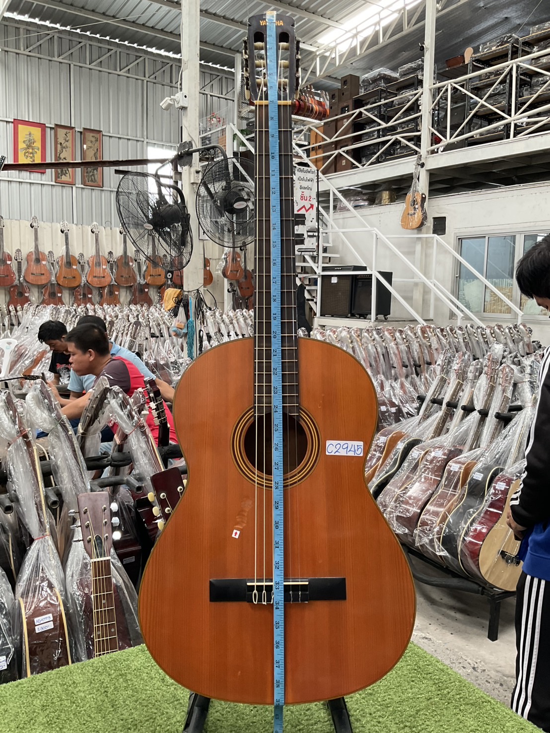 กีต้าร์คลาสสิค YAMAHA : G-50