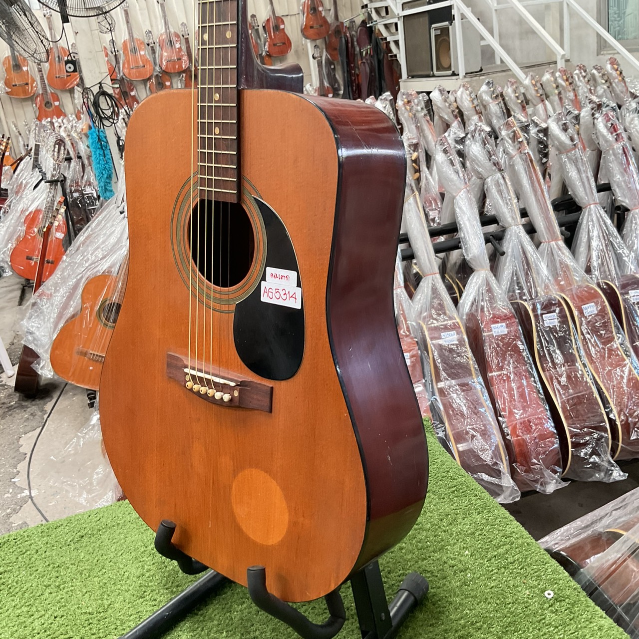 กีต้าร์โปร่ง Muse