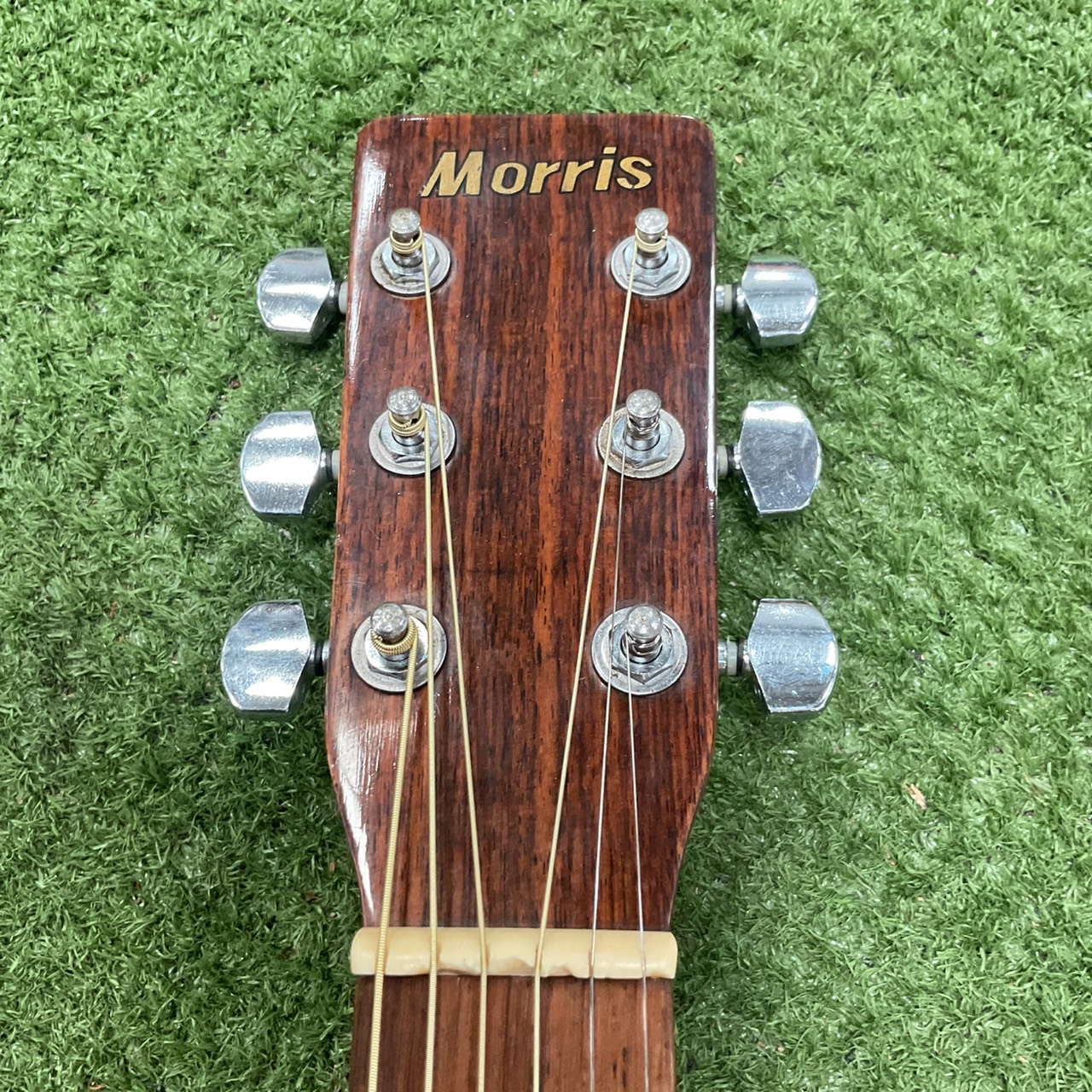 กีต้าร์โปร่ง Morris : MD-503