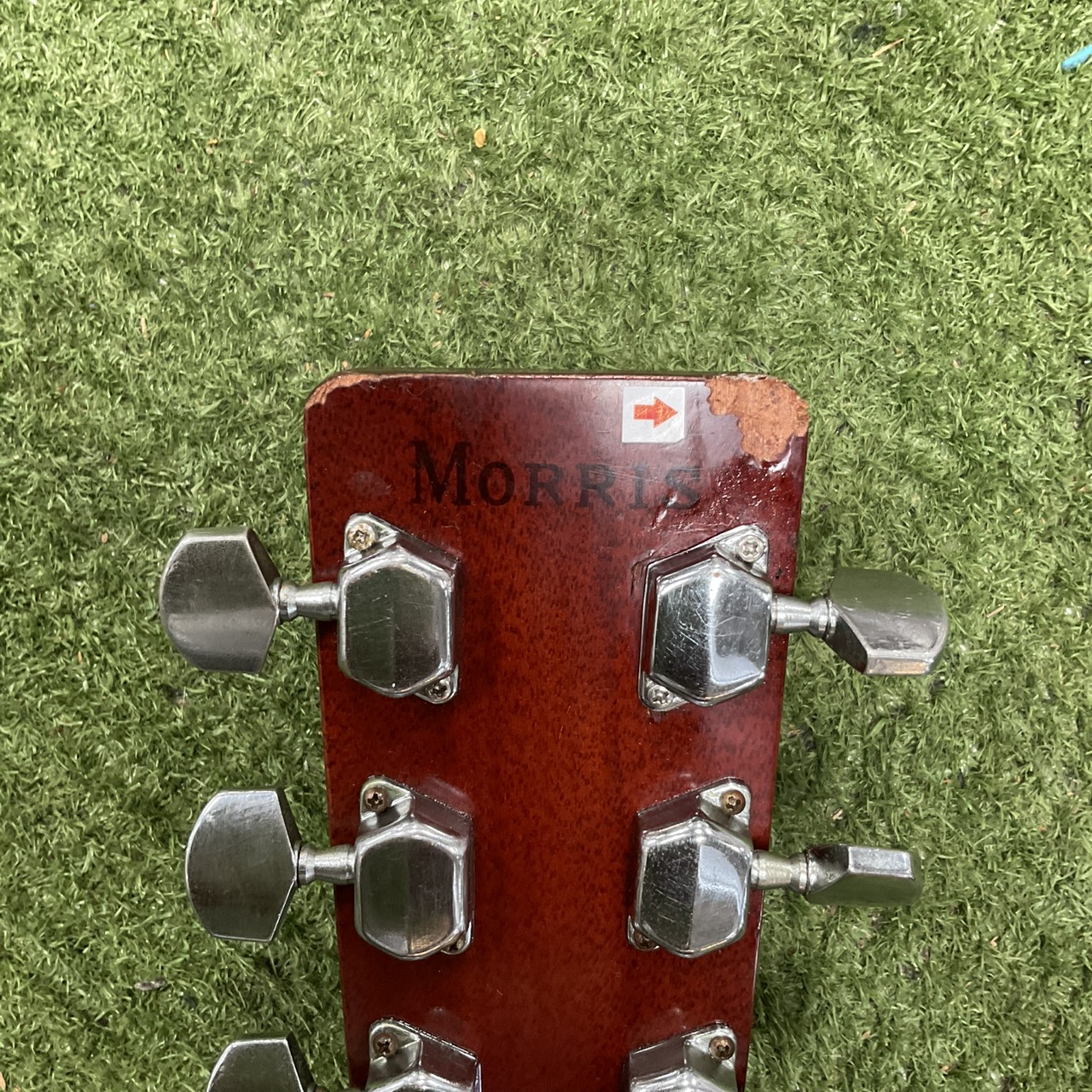 กีต้าร์โปร่ง Morris : W-18