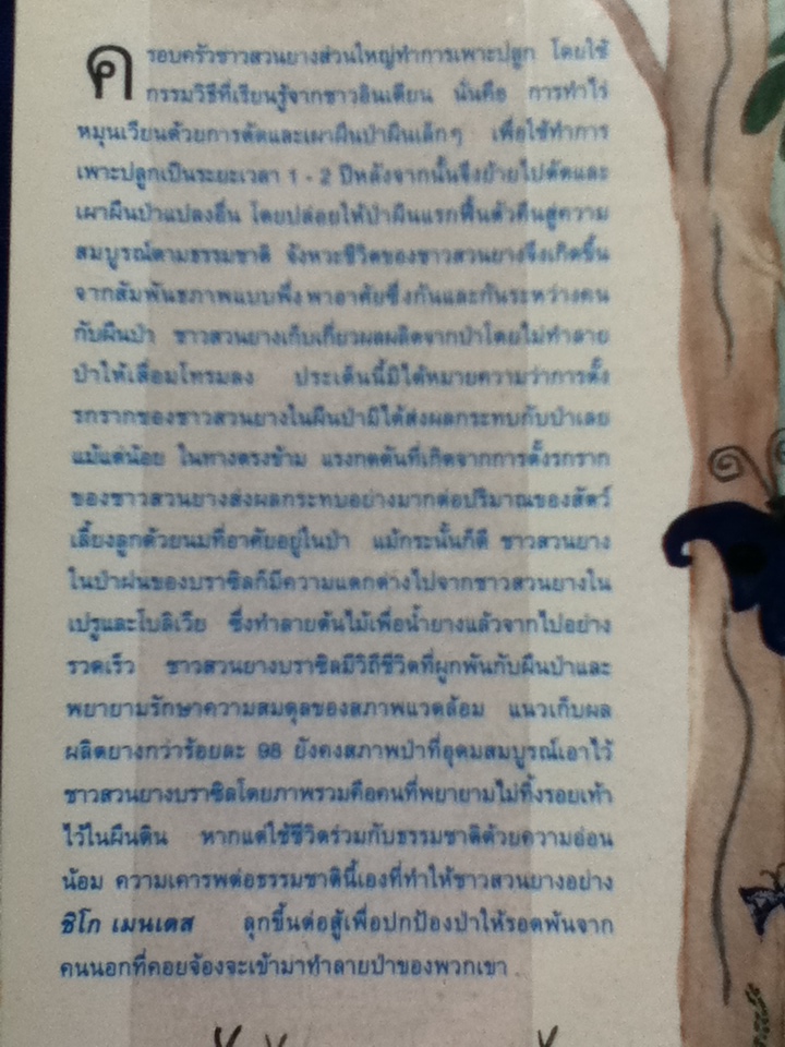 ฤดูเพลิง The Burning Season