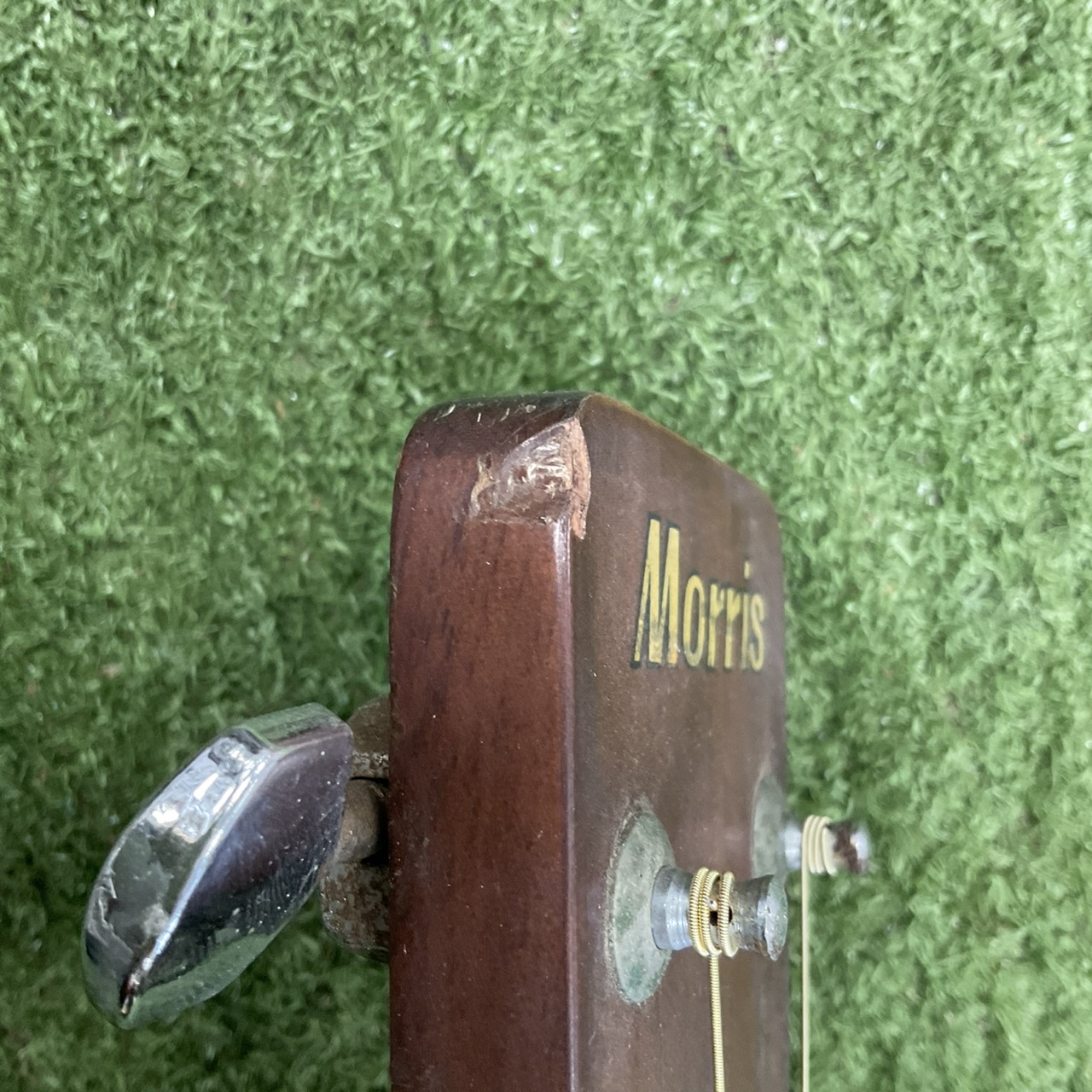 กีต้าร์โปร่ง Morris : W-20