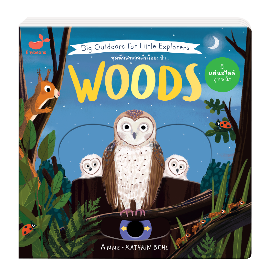 หนังสือเด็ก ชุดนักสำรวจตัวน้อย : ป่า Big Outdoors for Little Explorers Woods