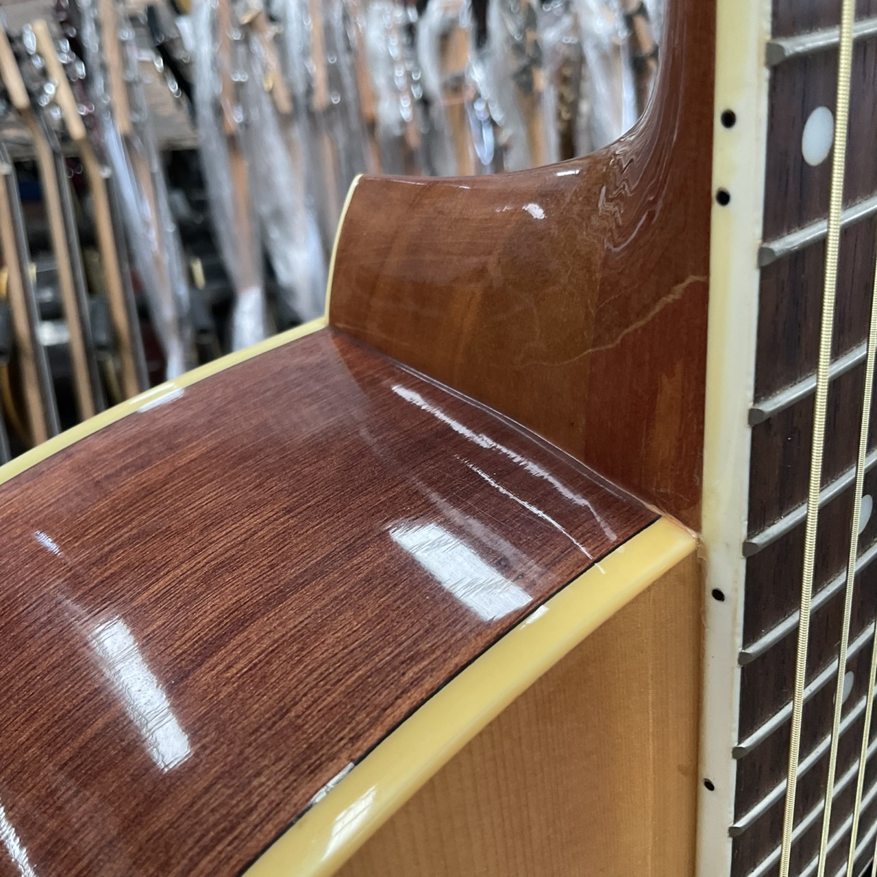 กีต้าร์โปร่ง Sepia Crue : W-250 N