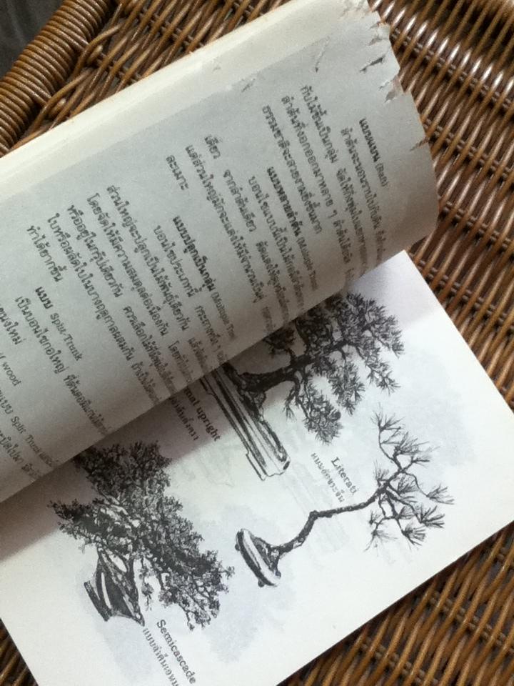 บอนไซ/ ชาง ตันสกุล