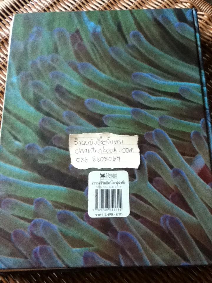 สำรวจชีวิตสัตว์โลกผู้น่าทึ่ง