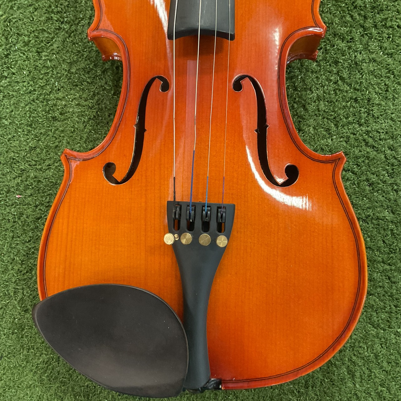 ไวโอลิน Stentor : RO69423