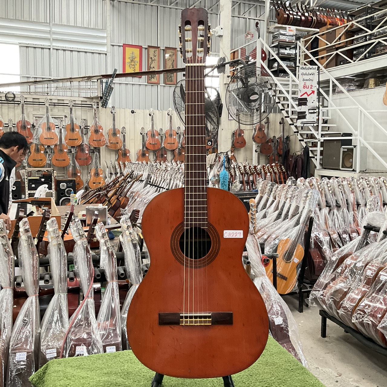 กีต้าร์คลาสสิค SUZUKI : C-10