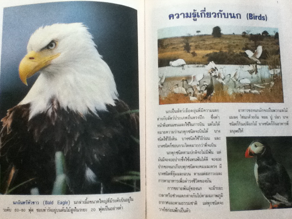 หนังสือภาพความรู้เรื่องนก