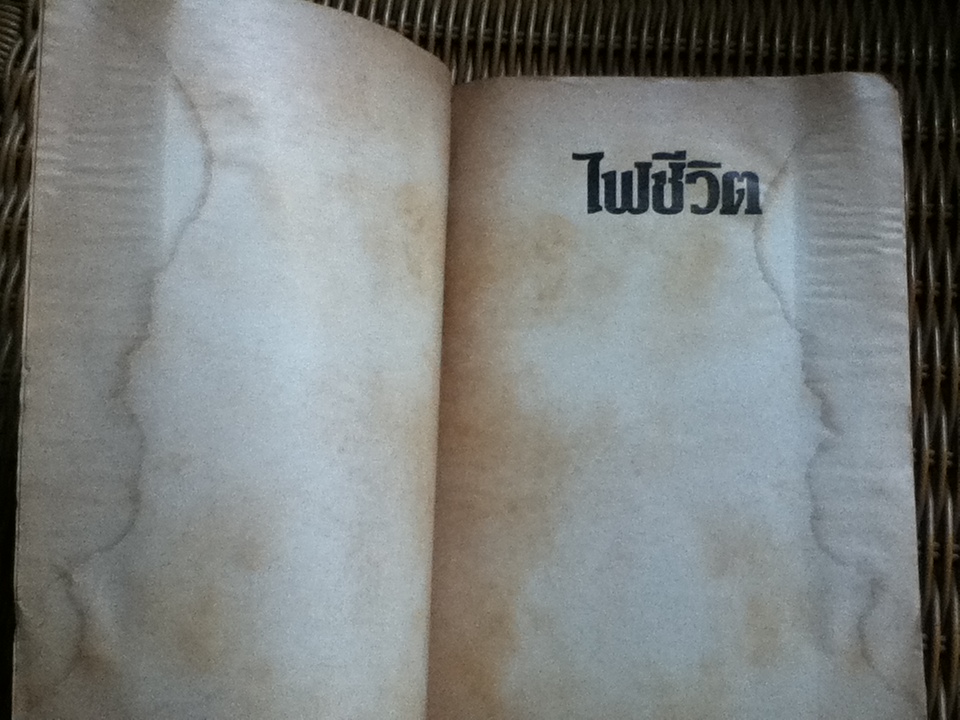 ไฟชีวิต/ เออร์วิง สโตน