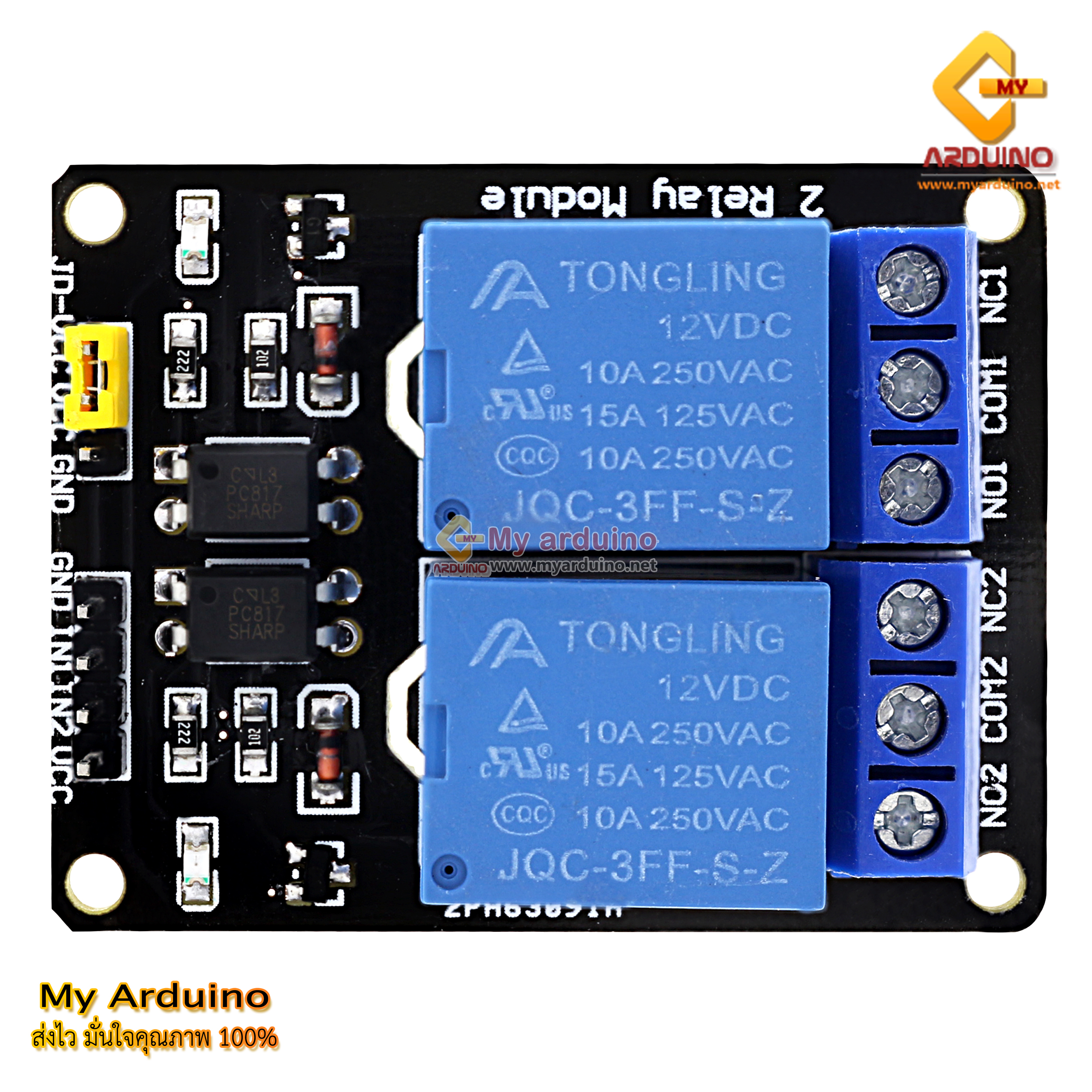 Arduino Relay Module 12V 2 Channel isolation control LOW Trigger 250V ...