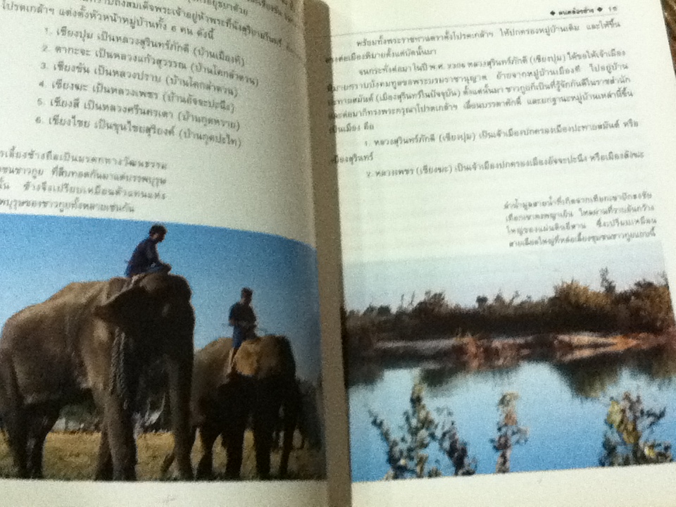 คนคล้องช้าง/ สมัย สุทธิธรรม