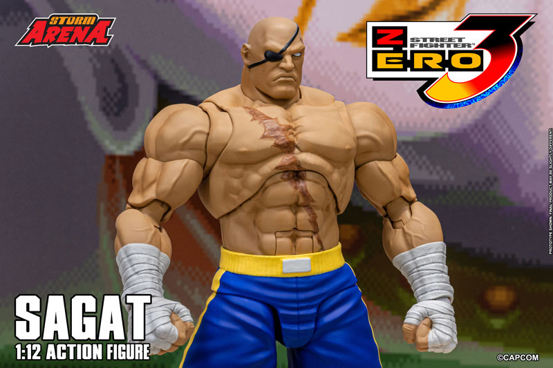 Street Fighter Alpha 3 1/12 Scale Action Figure Sagat(Provisional Pre-order)